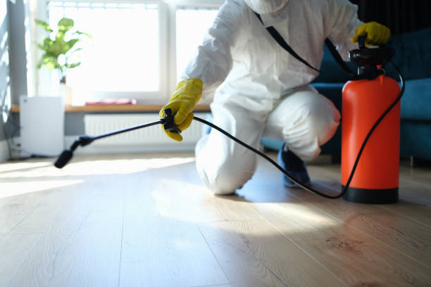 Best Flea Control Services  in Wahpeton, ND