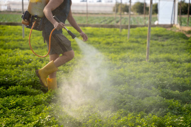 Best Wasp Removal Services  in Wahpeton, ND