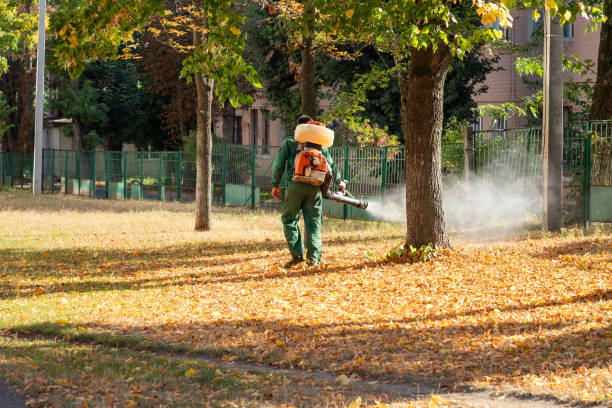 Best Pest Prevention Services  in Wahpeton, ND